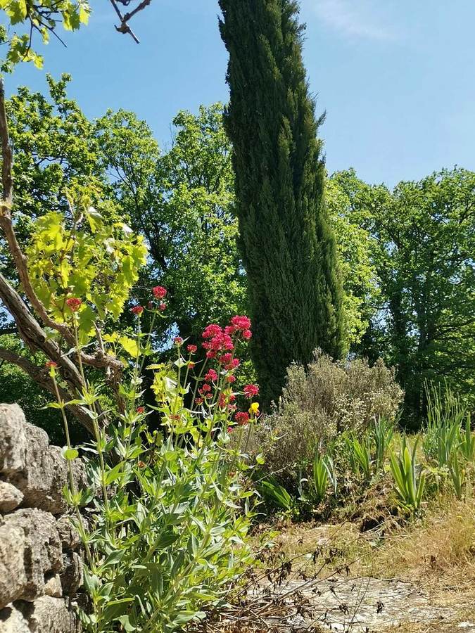Cyprès & valérianes, Le Bastidon — location en Luberon