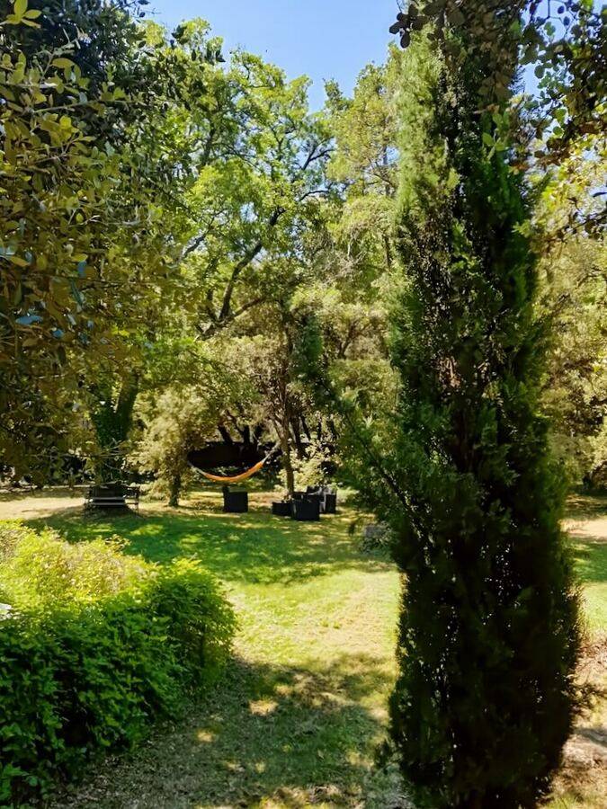 Hamac & cyprès, Le Jas — location en Luberon