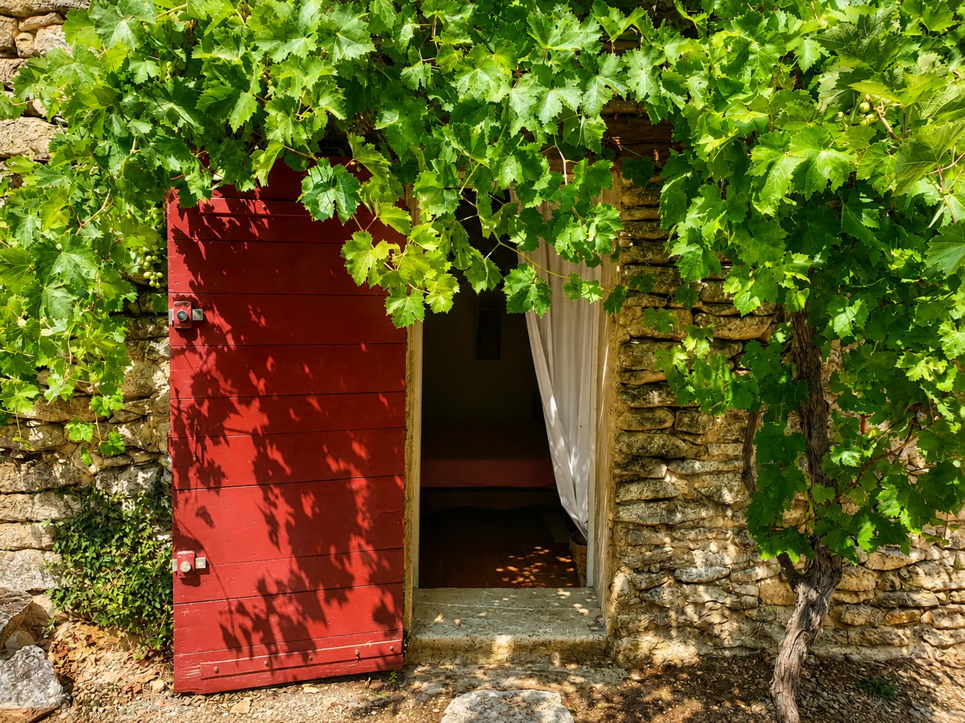 Porte rouge du Bastidon sous une treille de vigne, mur en pierre sèche